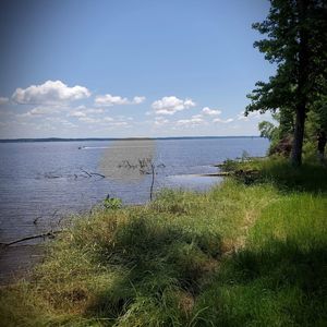 Meet your Posher, Misti